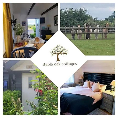 Birch Cottage With Private Wood Fire Hot Tub Harrietsham Esterno foto