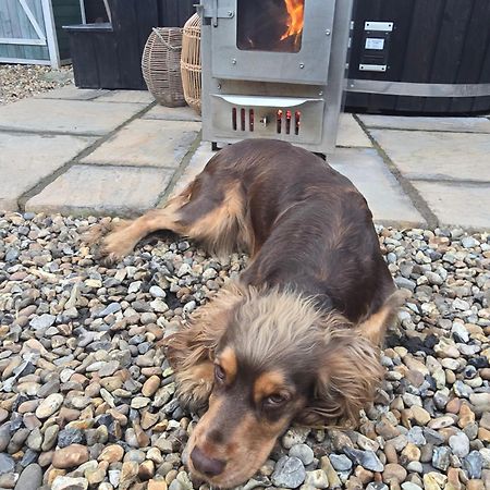 Birch Cottage With Private Wood Fire Hot Tub Harrietsham Esterno foto
