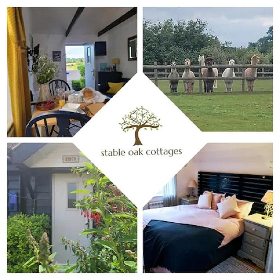 Birch Cottage With Private Wood Fire Hot Tub Harrietsham Esterno foto
