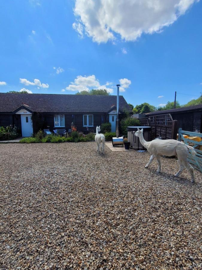 Birch Cottage With Private Wood Fire Hot Tub Harrietsham Esterno foto