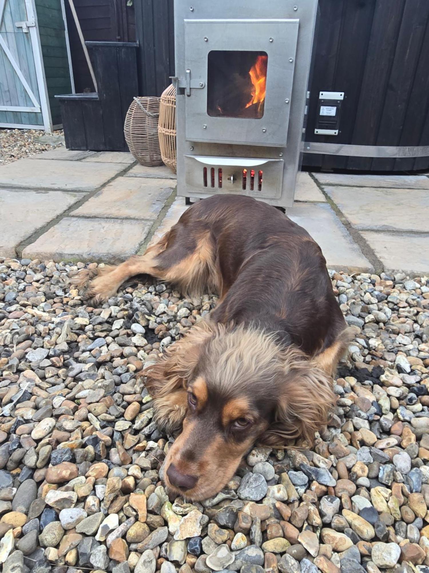 Birch Cottage With Private Wood Fire Hot Tub Harrietsham Esterno foto